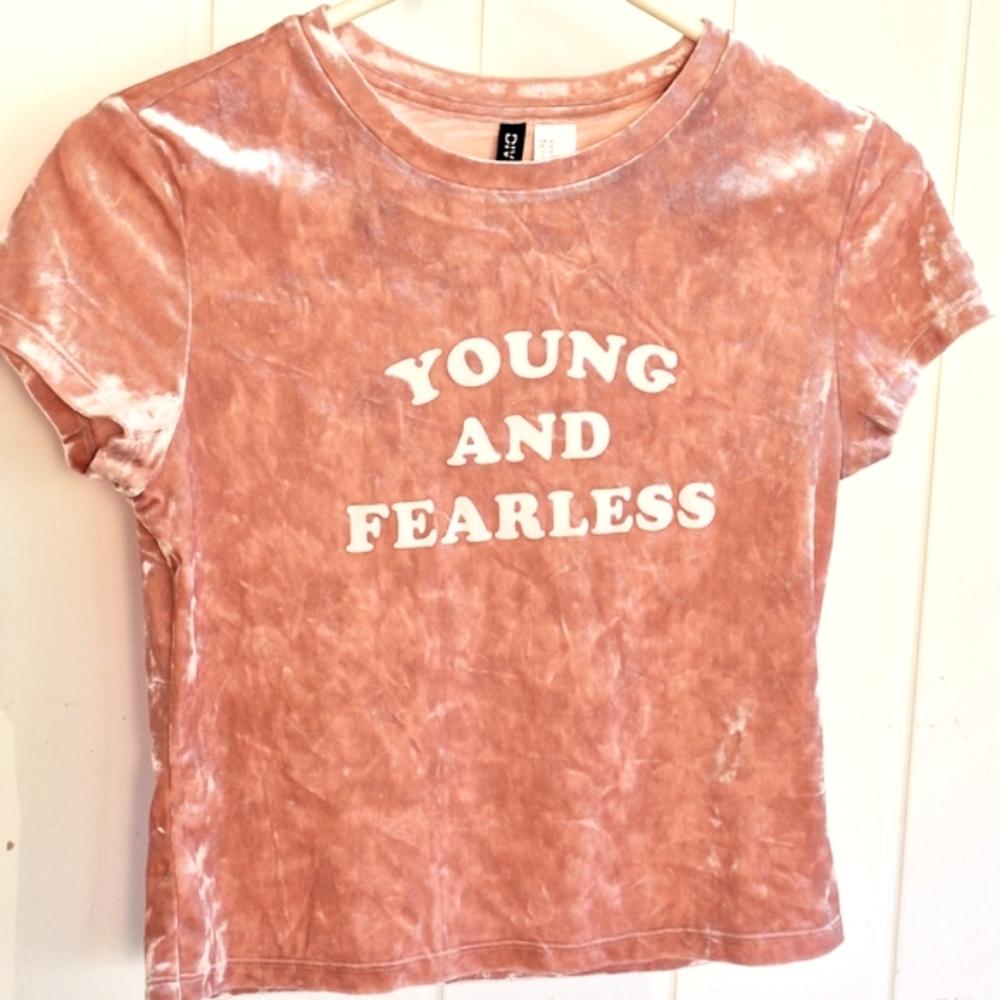 Divided Pink Velvety Cropped Tee Skatecore Streetwear Very Good Condition